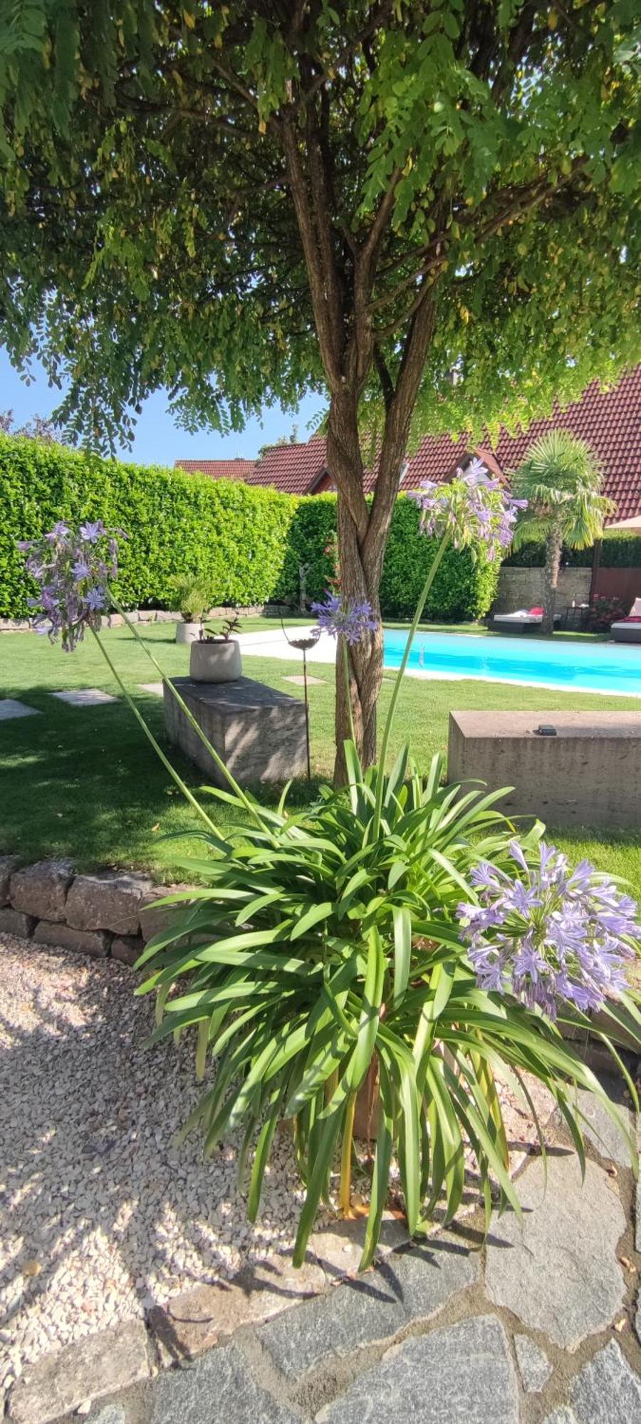 Appartement Bel Giardino à FDH Extérieur photo
